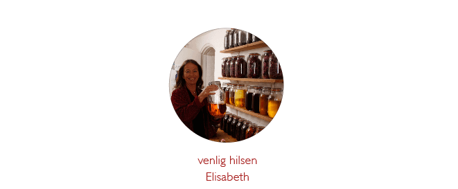 elysia_jul_hilsen elysia_jul_hilsen